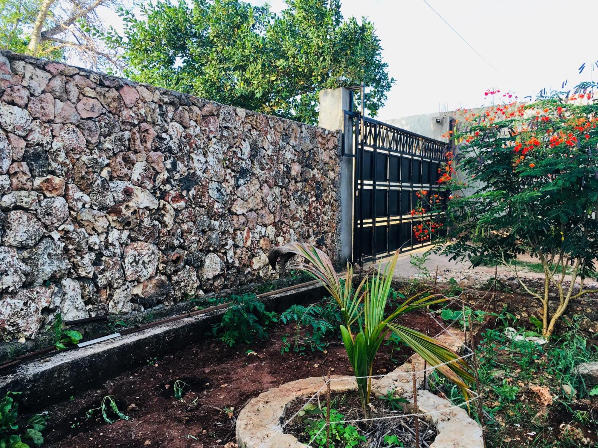 Kendwa Modern Flats - Wambaa Garden公寓 外观 照片